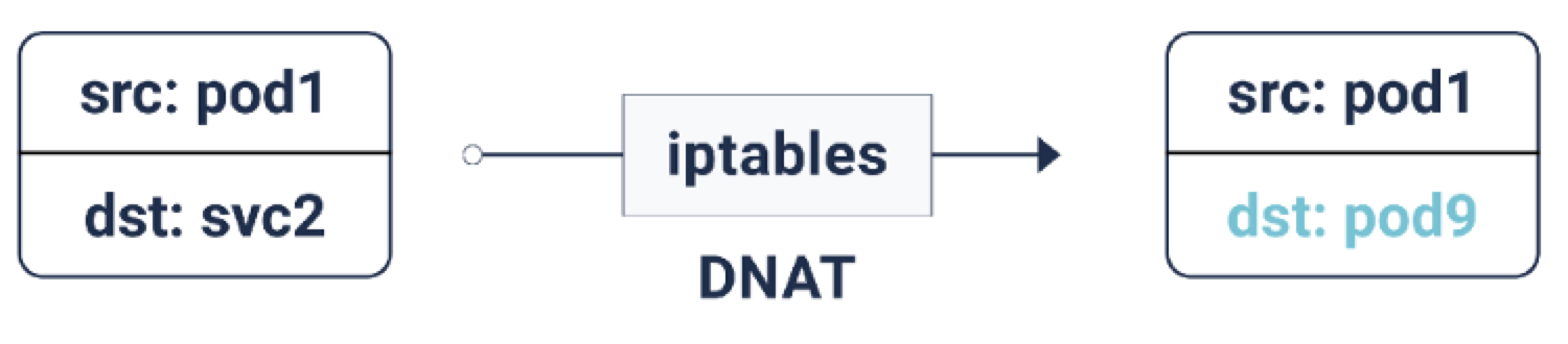 service-dnat-ip